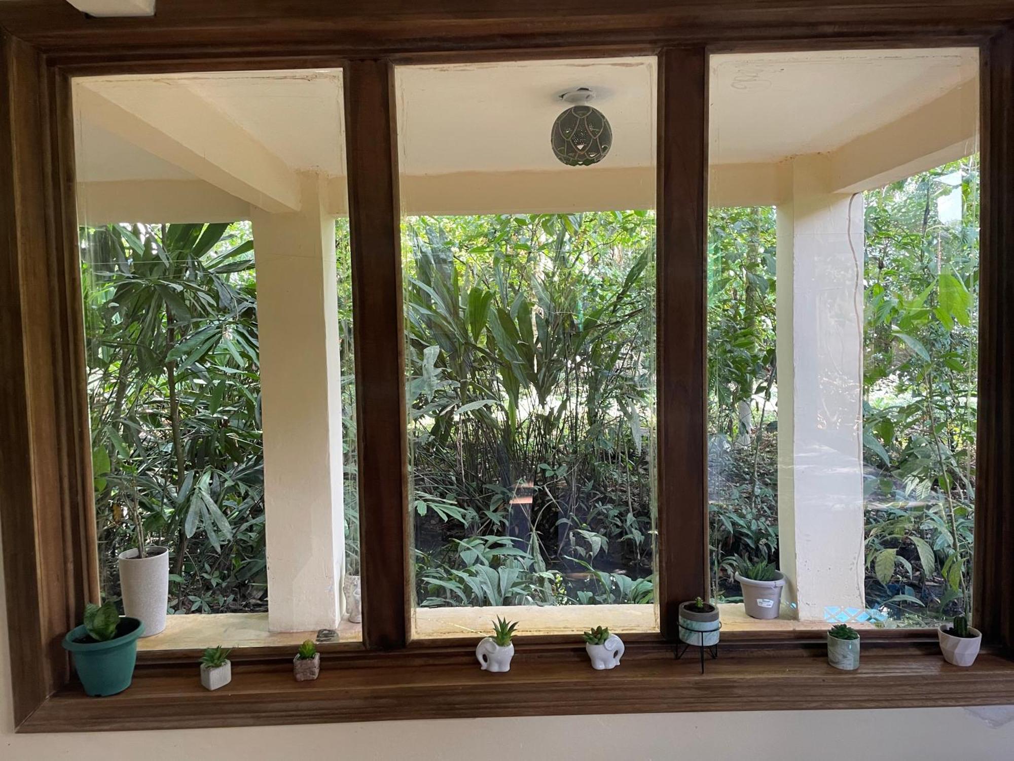 Casa Jaguar Tortuguero Villa Ngoại thất bức ảnh