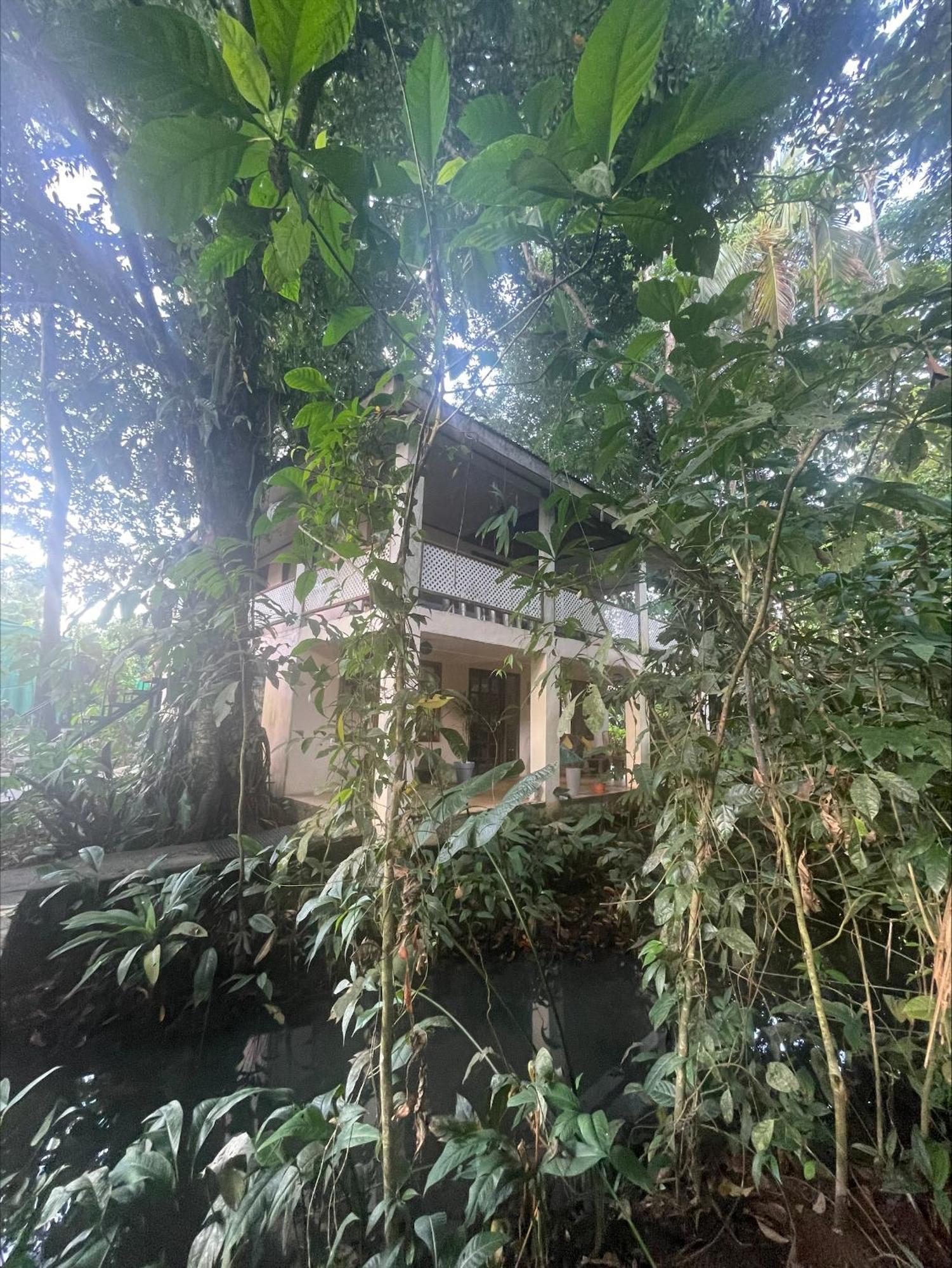 Casa Jaguar Tortuguero Villa Ngoại thất bức ảnh