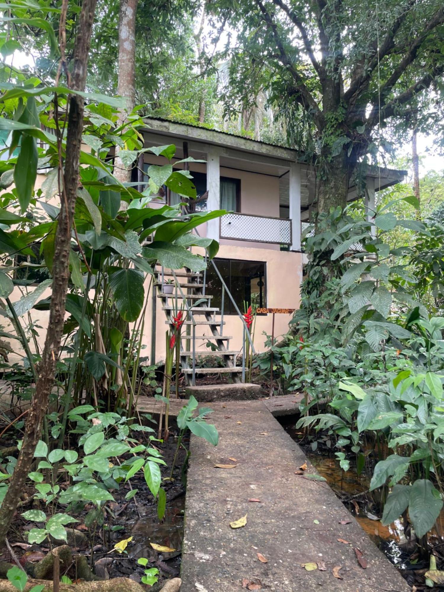 Casa Jaguar Tortuguero Villa Ngoại thất bức ảnh