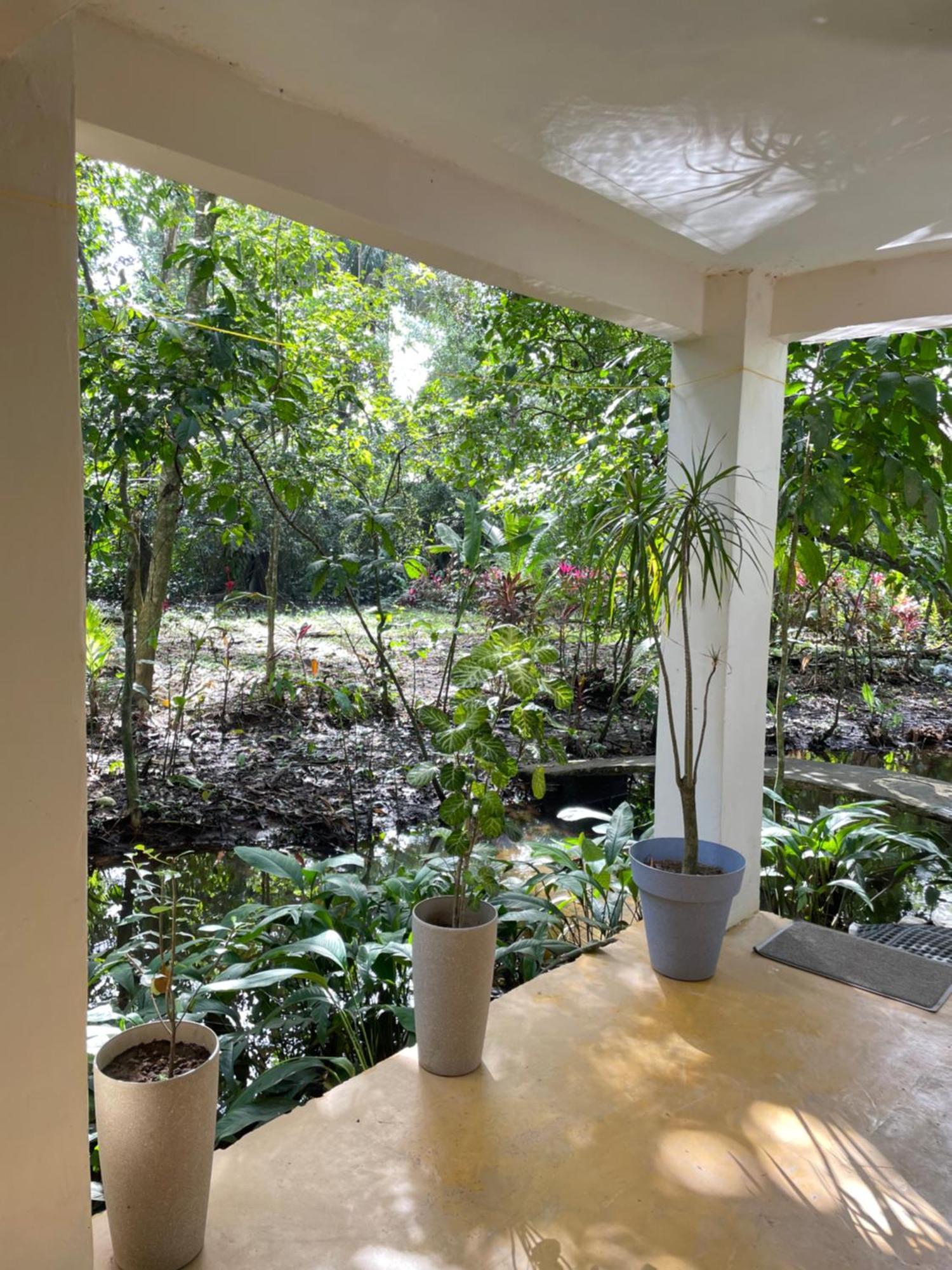Casa Jaguar Tortuguero Villa Ngoại thất bức ảnh